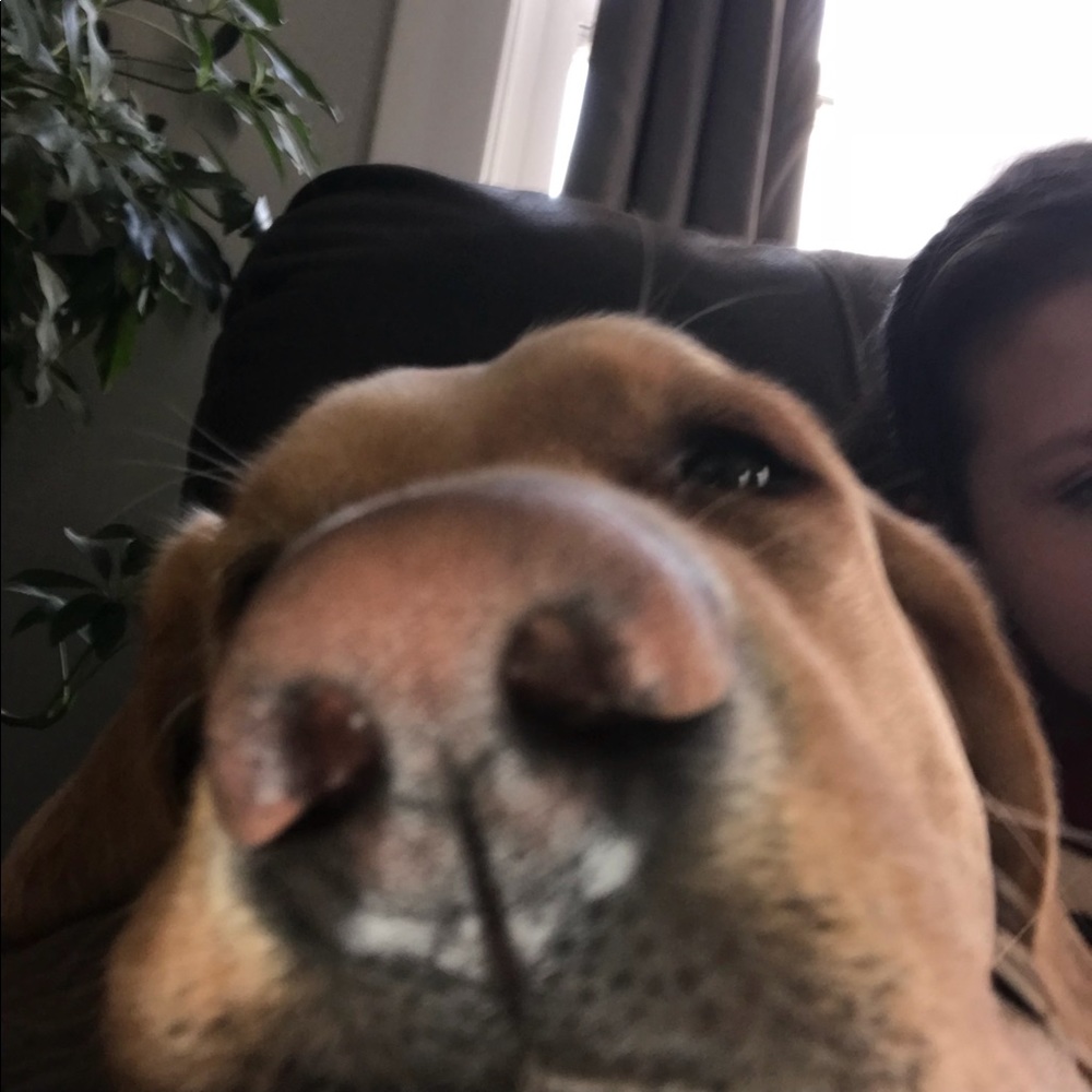 Meet your Posher, Mercedes